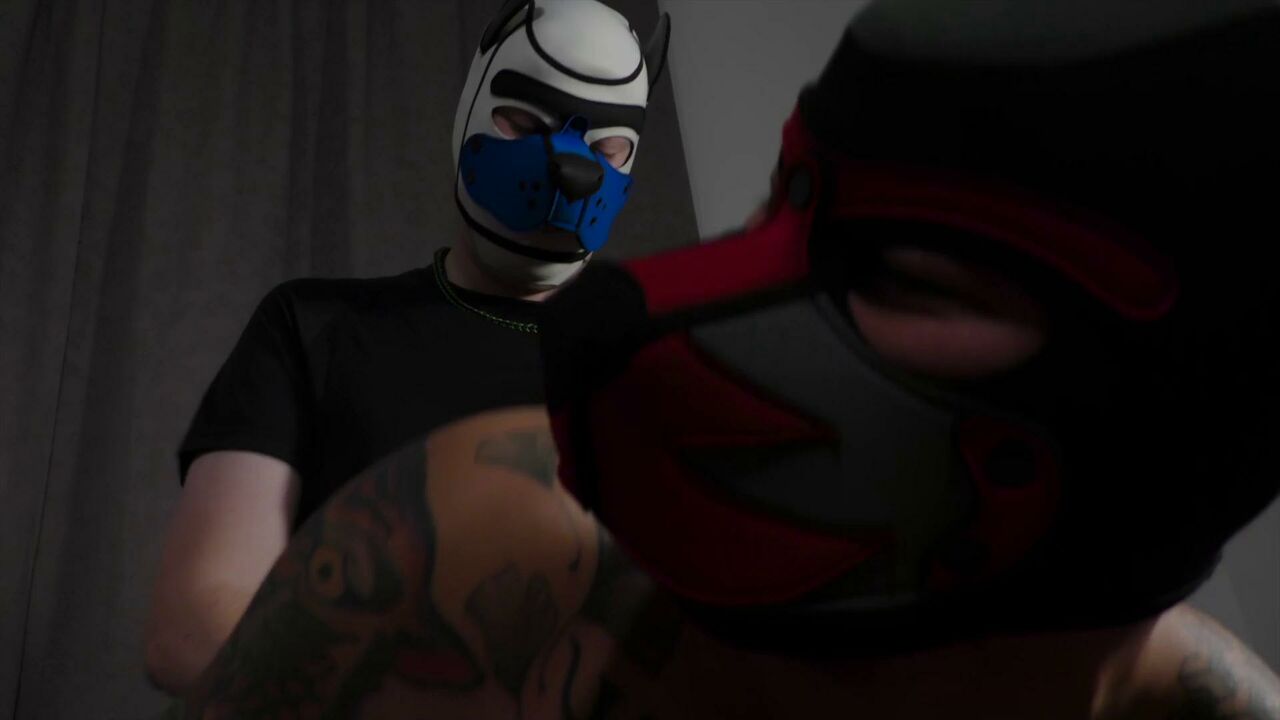 Thick Dick Evening for Latino Puppy