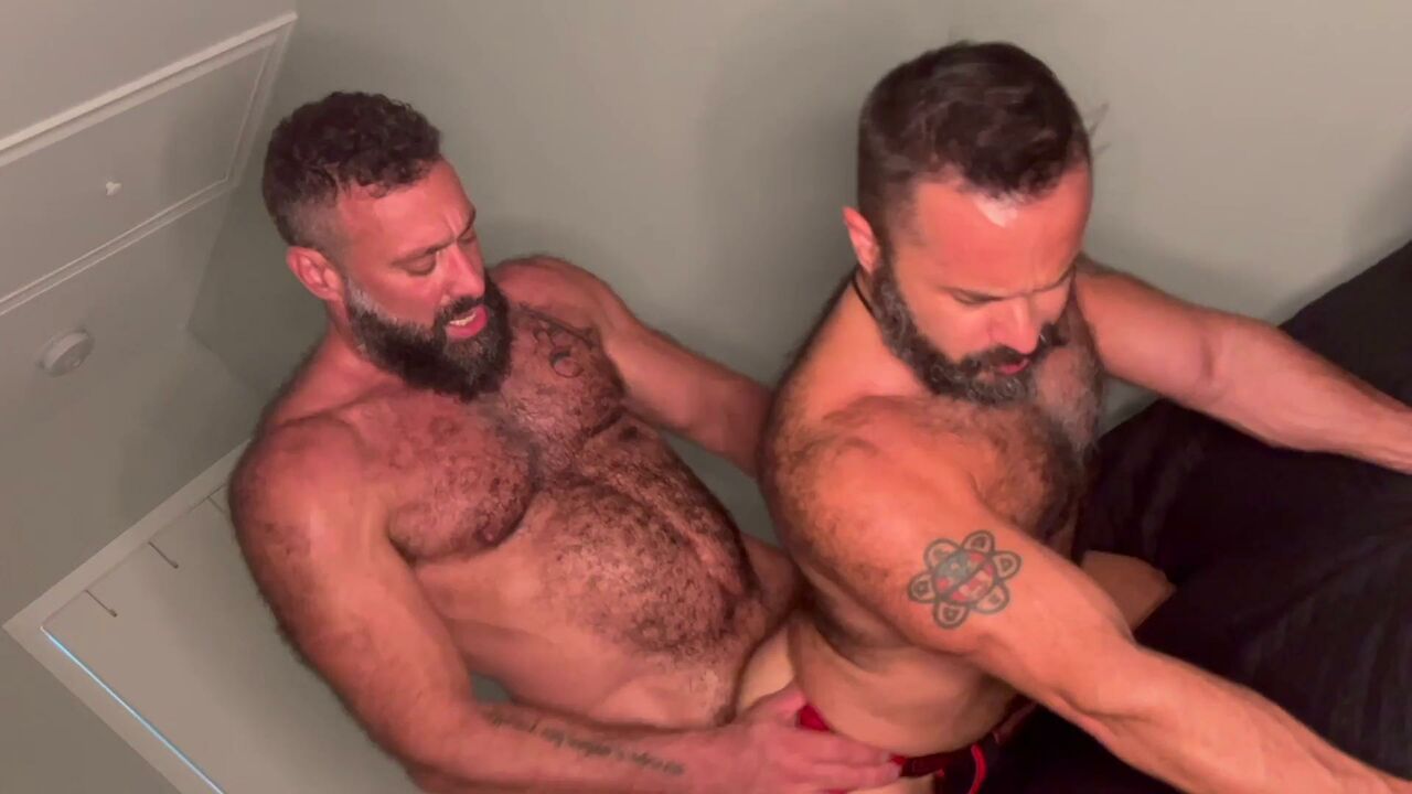 Pocket Bear Part 2