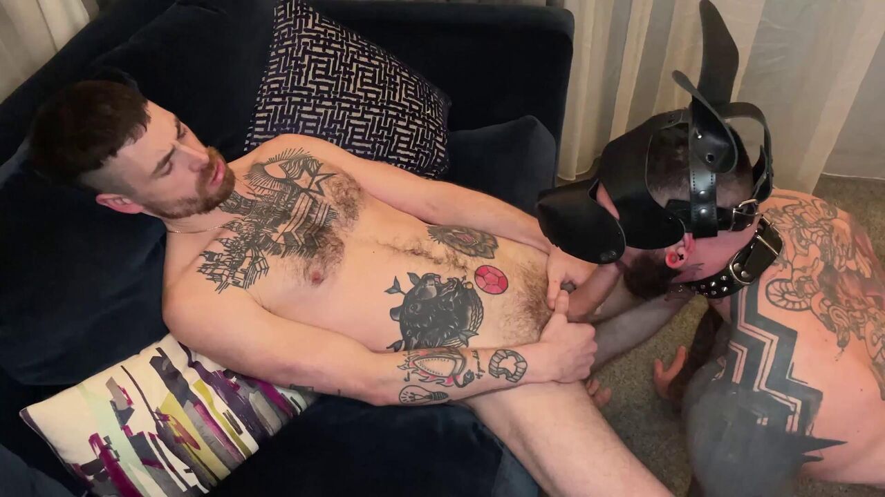 Pup Gets Fucked Hard