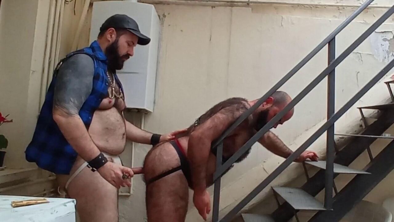 Bb Cigar Daddies 2 of 2
