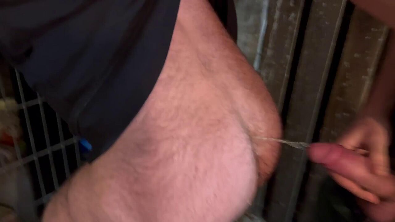 Piss Pigs in Cellar