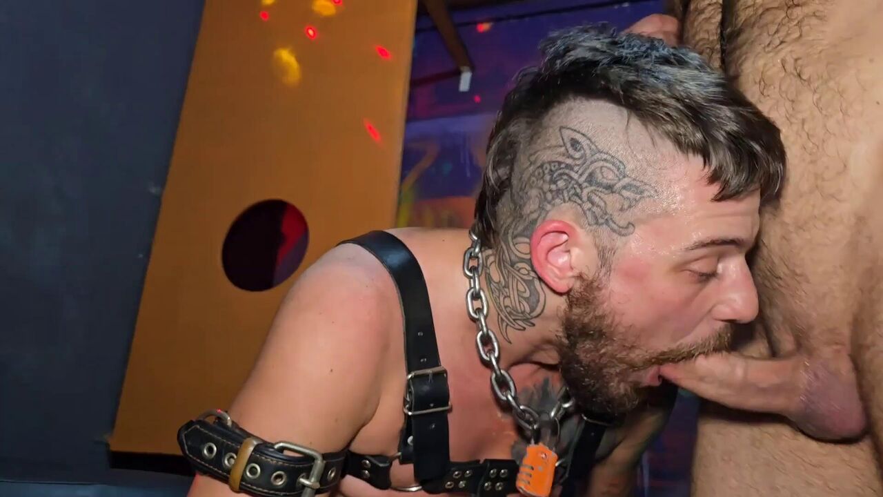 Free Wolf Shows Me His Sex Club