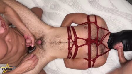 Montreal Fuck Toy